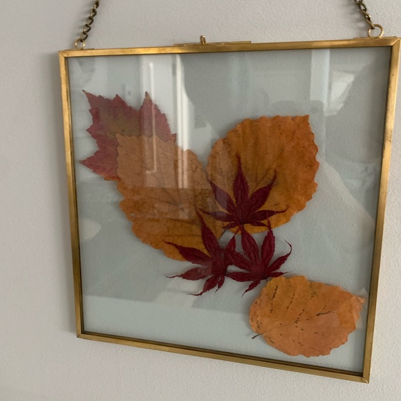 Pressed Fall Leaves Art - Picture 5 of 6